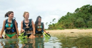  Cursos de buceo desde principiantes hasta nivel de instructor pasado 